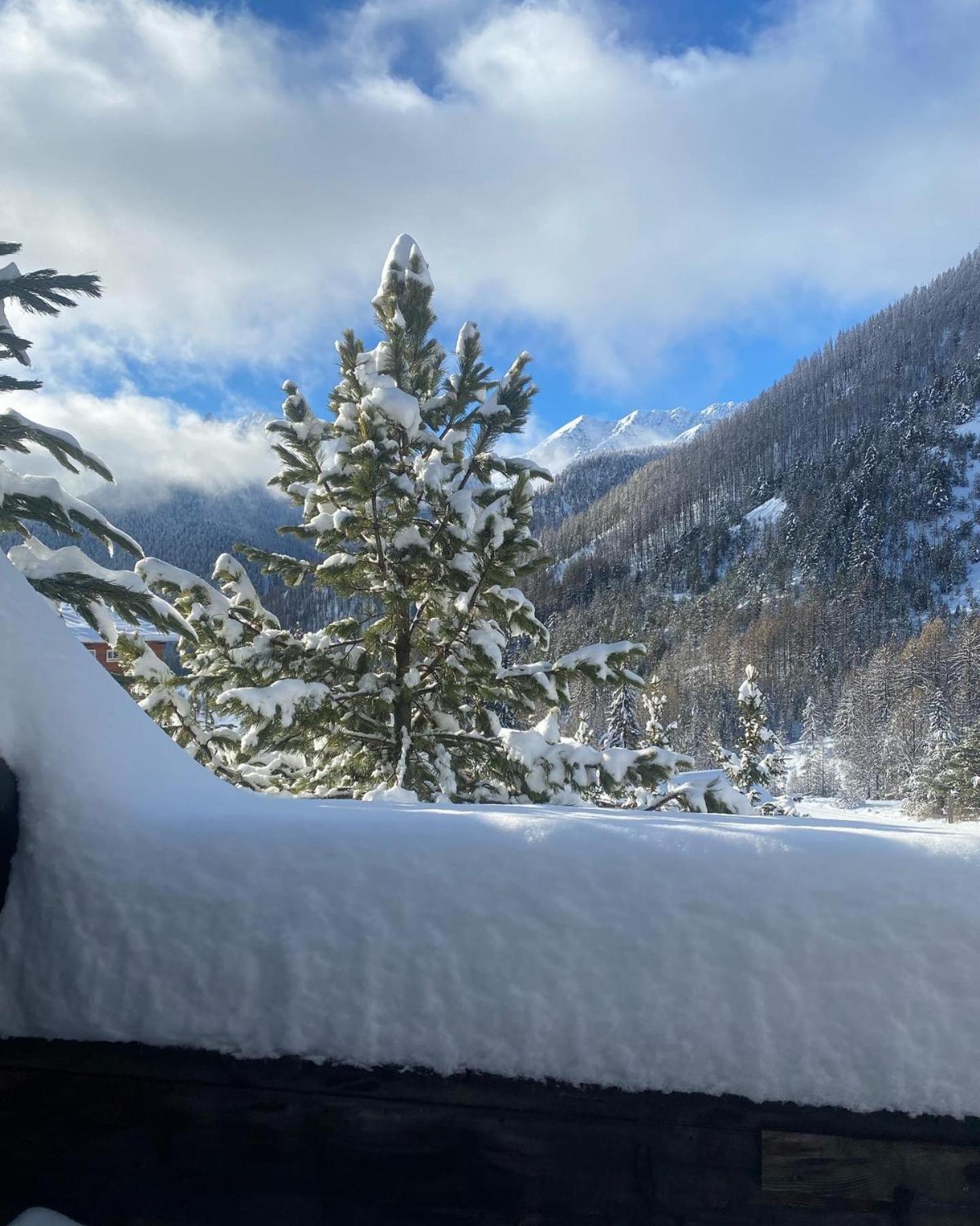 Le Chalet Des Sommets Arvieux Eksteriør billede